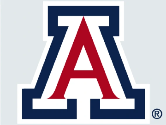 UArizona profile image in cool gray