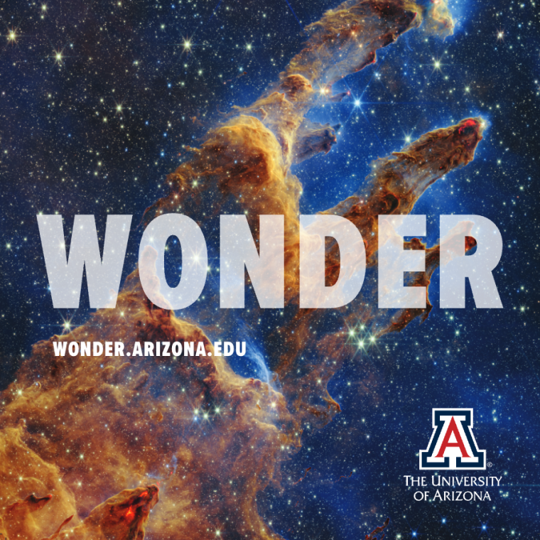 WONDER graphic